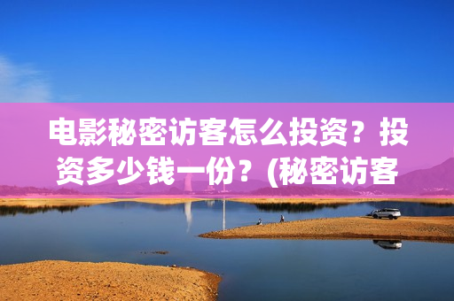 电影秘密访客怎么投资？投资多少钱一份？(秘密访客电影啥意思)