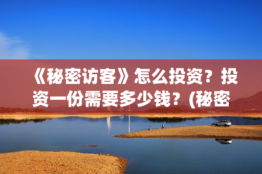 《秘密访客》怎么投资？投资一份需要多少钱？(秘密访客在讲啥)