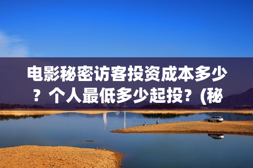 电影秘密访客投资成本多少？个人最低多少起投？(秘密访客电影价钱)