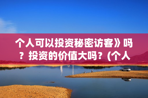 个人可以投资秘密访客》吗？投资的价值大吗？(个人可以投资股权吗)