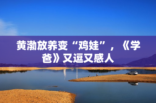 黄渤放养变“鸡娃”,《学爸》又逗又感人 黄渤放养变“鸡娃”,《学爸》又逗又感人
