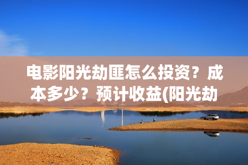 电影阳光劫匪怎么投资？成本多少？预计收益(阳光劫匪电影解说)