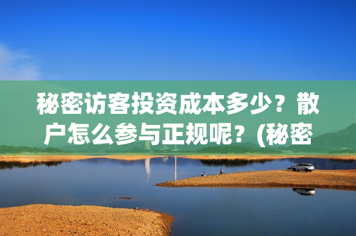 秘密访客投资成本多少？散户怎么参与正规呢？(秘密访客 投资方)