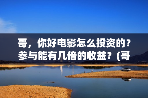 哥，你好电影怎么投资的？参与能有几倍的收益？(哥哥hi你好)