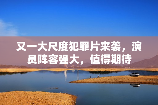 又一大尺度犯罪片来袭，演员阵容强大，值得期待