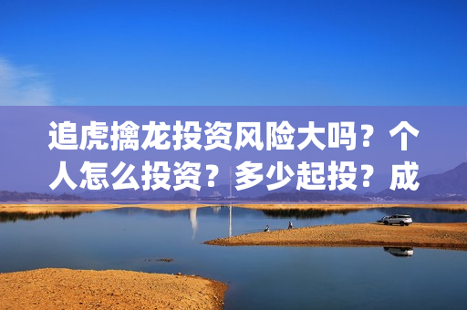 追虎擒龙投资风险大吗？个人怎么投资？多少起投？成本高吗？(追虎擒龙亏本)