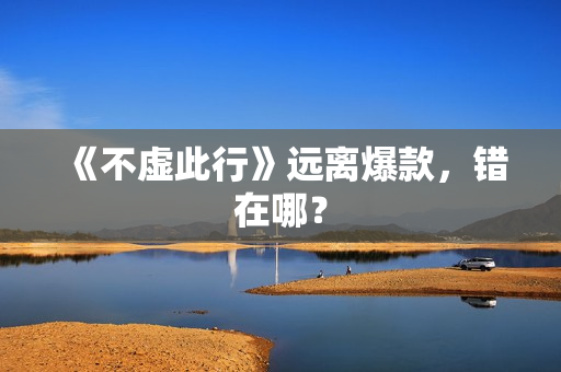 《不虚此行》远离爆款，错在哪？