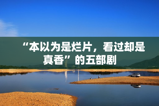 “本以为是烂片,看过却是真香”的五部剧 “本以为是烂片,看过却是真香”的五部剧