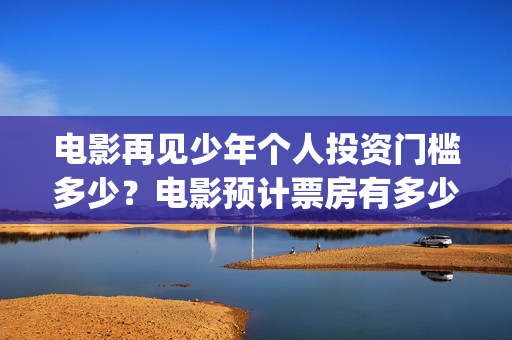 电影再见少年个人投资门槛多少？电影预计票房有多少？(再见少年电影内容)