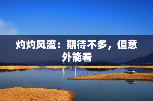 灼灼风流：期待不多，但意外能看