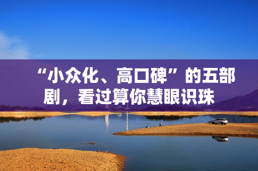 “小众化、高口碑”的五部剧，看过算你慧眼识珠