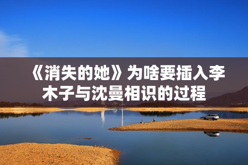 《消失的她》为啥要插入李木子与沈曼相识的过程