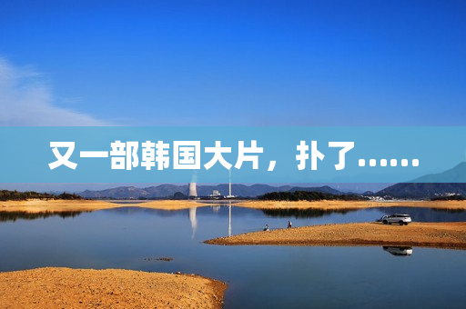 又一部韩国大片，扑了……