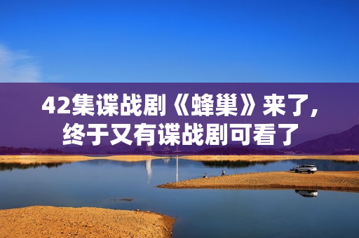 42集谍战剧《蜂巢》来了,终于又有谍战剧可看了