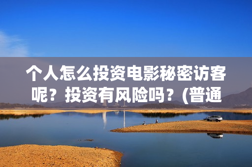 个人怎么投资电影秘密访客呢？投资有风险吗？(普通百姓怎样投资电影)
