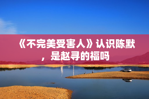 《不完美受害人》认识陈默，是赵寻的福吗