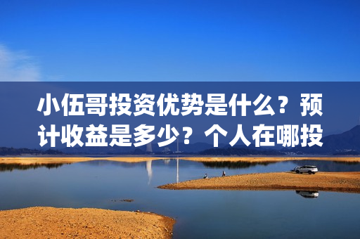 小伍哥投资优势是什么？预计收益是多少？个人在哪投资？(《小伍哥》)