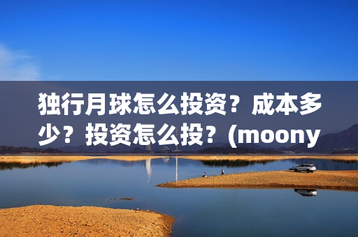 独行月球怎么投资？成本多少？投资怎么投？(moonyou-独行月球)
