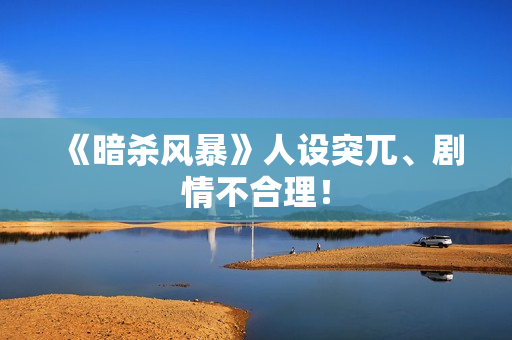 《暗杀风暴》人设突兀、剧情不合理! 《暗杀风暴》人设突兀、剧情不合理!