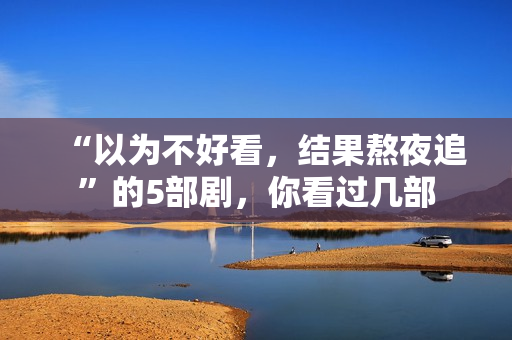 “以为不好看，结果熬夜追”的5部剧，你看过几部