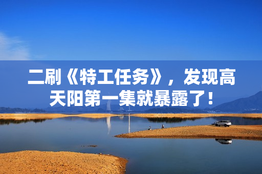 二刷《特工任务》，发现高天阳第一集就暴露了！