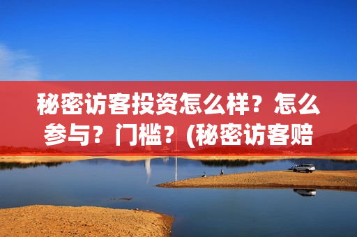 秘密访客投资怎么样？怎么参与？门槛？(秘密访客赔钱了吗)