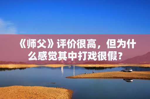 《师父》评价很高，但为什么感觉其中打戏很假？