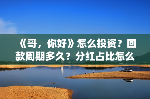 《哥，你好》怎么投资？回款周期多久？分红占比怎么计算？(你好哥哥)