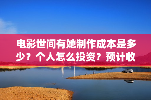 电影世间有她制作成本是多少？个人怎么投资？预计收益是多少？(《世间有她》)