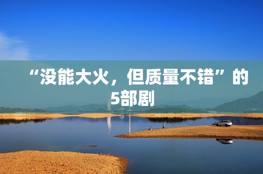 “没能大火，但质量不错”的5部剧