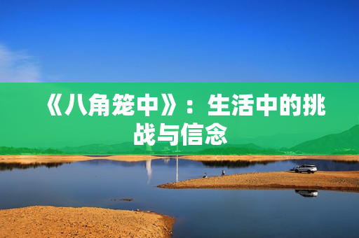 《八角笼中》：生活中的挑战与信念