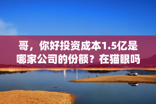 哥，你好投资成本1.5亿是哪家公司的份额？在猫眼吗？预测票房多少？(鹩哥你好mp3)