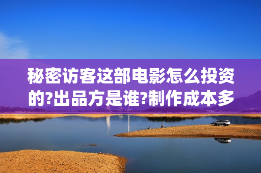 秘密访客这部电影怎么投资的?出品方是谁?制作成本多少?(秘密访客电影深度解析)