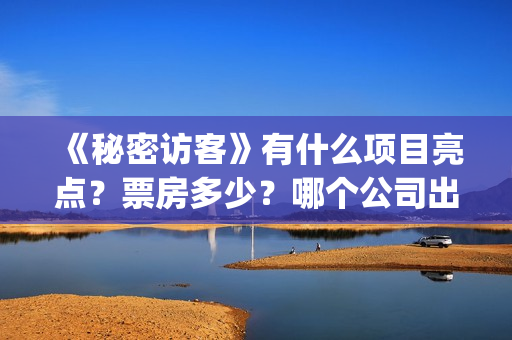 《秘密访客》有什么项目亮点？票房多少？哪个公司出品的？(秘密访客再讲什么)