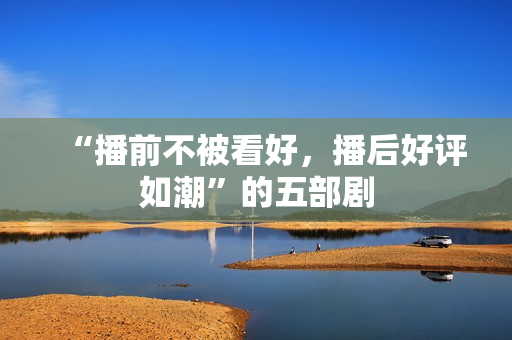 “播前不被看好,播后好评如潮”的五部剧 “播前不被看好,播后好评如潮”的五部剧