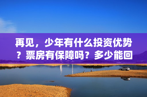 再见,少年有什么投资优势?票房有保障吗?多少能回本?(再见,少年语录) 再见,少年有什么投资优势?票房有保障吗?多少能回本?(再见,少年语录)