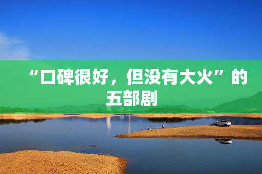 “口碑很好，但没有大火”的五部剧