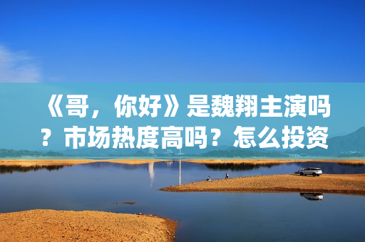 《哥，你好》是魏翔主演吗？市场热度高吗？怎么投资认购？分账快吗？(鹩哥你好mp3)
