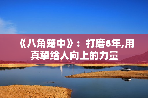 《八角笼中》:打磨6年,用真挚给人向上的力量 《八角笼中》:打磨6年,用真挚给人向上的力量