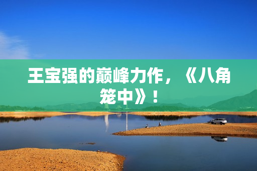 王宝强的巅峰力作，《八角笼中》！