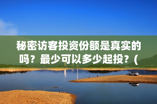 秘密访客投资份额是真实的吗？最少可以多少起投？(秘密访客投资成本)