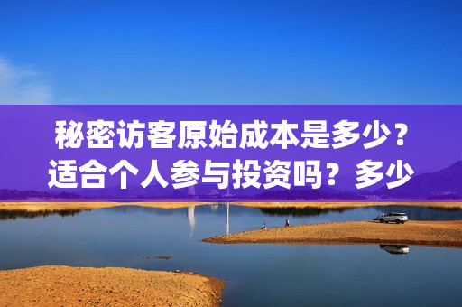 秘密访客原始成本是多少？适合个人参与投资吗？多少钱一份？(秘密访客原型是哪本书)