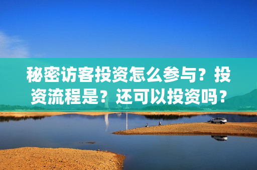 秘密访客投资怎么参与？投资流程是？还可以投资吗？(秘密访客投资门槛)