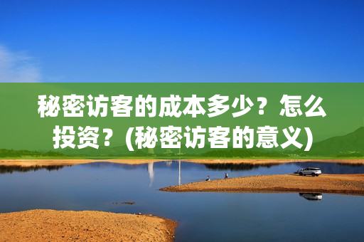 秘密访客的成本多少？怎么投资？(秘密访客的意义)