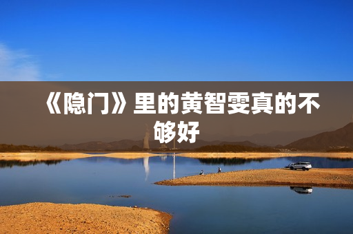 《隐门》里的黄智雯真的不够好