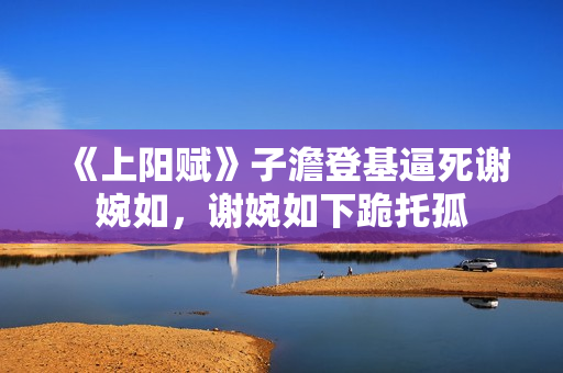 《上阳赋》子澹登基逼死谢婉如，谢婉如下跪托孤