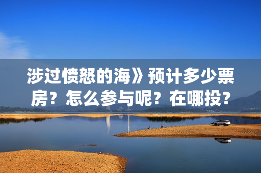 涉过愤怒的海》预计多少票房？怎么参与呢？在哪投？(涉过愤怒的海事件原型)