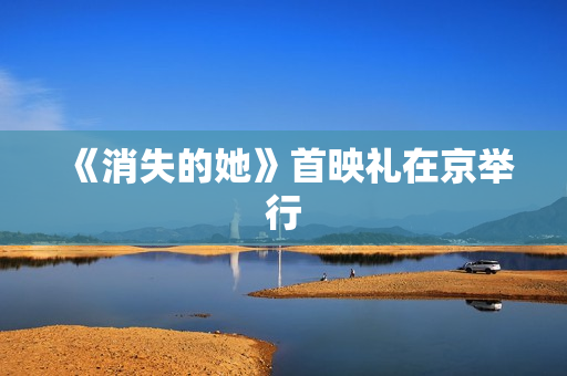 《消失的她》首映礼在京举行