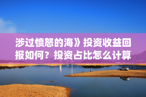 涉过愤怒的海》投资收益回报如何？投资占比怎么计算的呢？(涉过愤怒的海讲的是什么意思)