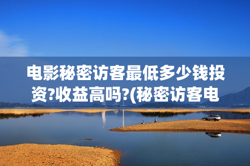 电影秘密访客最低多少钱投资?收益高吗?(秘密访客电影细节)